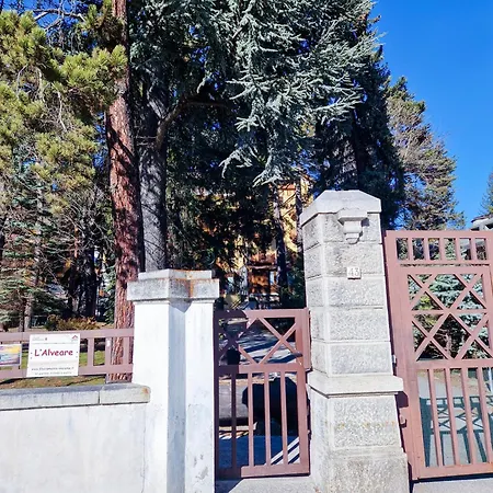 - Frejus Palace * Bardonecchia